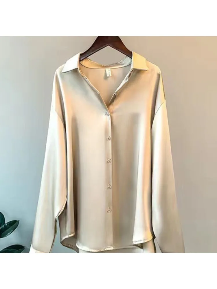 حجم كبير قميص حريري المرأة عاد - مراجعة Silk Blouse وسعره